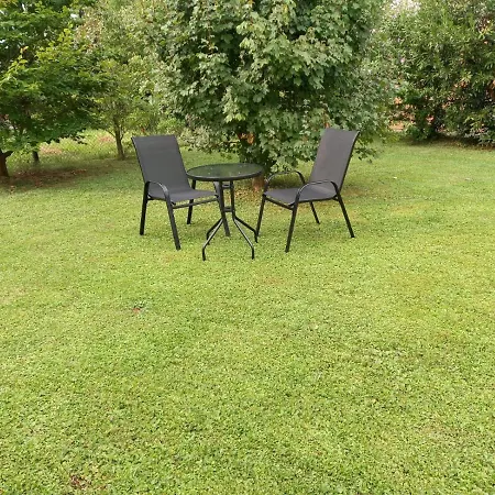 Apartament Nest