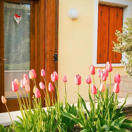 Nest Apartament