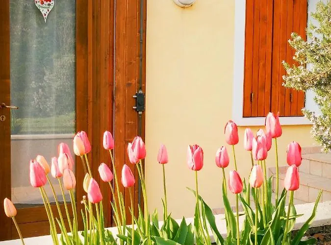 Nest Apartman