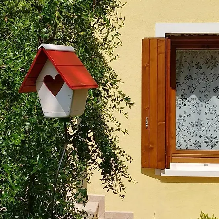 Nest