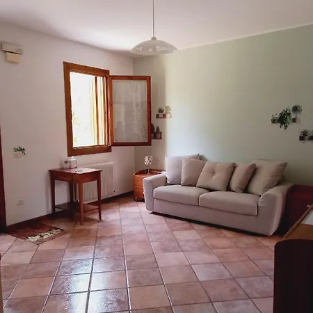 Nest Apartment