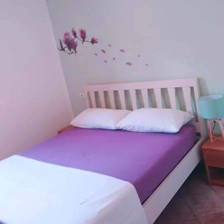 Apartment Nest